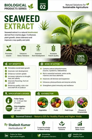 Seaweed extract-s3